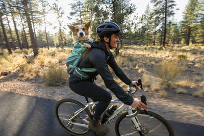 Ruffwear Hitch Hiker™ Lightweight Technical Dog Backpack Carrier (River Rock Green)