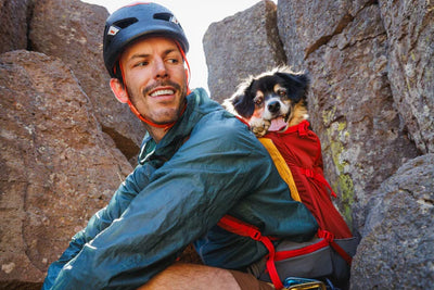 Ruffwear Hitch Hiker™ Lightweight Technical Dog Backpack Carrier (River Rock Green)