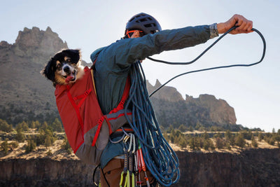 Ruffwear Hitch Hiker™ Lightweight Technical Dog Backpack Carrier (River Rock Green)