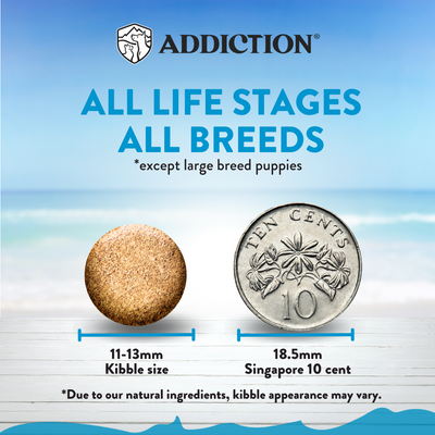 Addiction Dry Dog Food (Salmon Bleu ADULT)