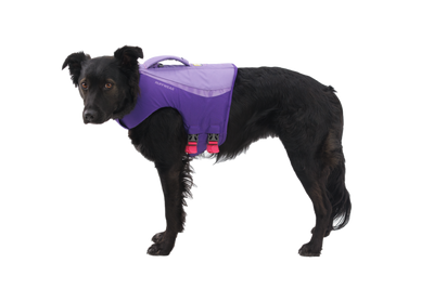 Ruffwear Float Coat™ Dog Life Jacket (Purple Lily)