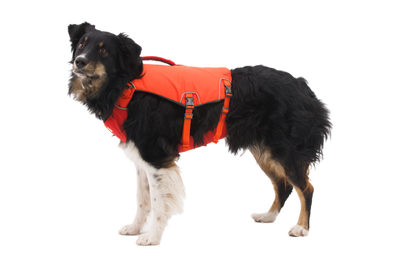 Ruffwear Confluence™ Harness-Style Dog Life Jacket (Tangelo Orange)