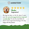 Addiction Dry Dog Food (Zen Vegetarian)