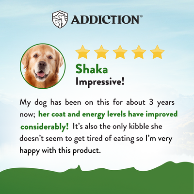 Addiction Dry Dog Food (Zen Vegetarian)