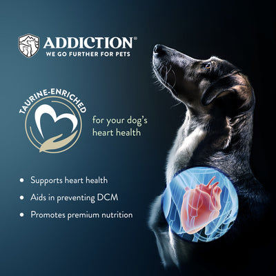 Addiction Dry Dog Food (Salmon Bleu PUPPY)