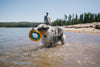 Ruffwear Hydro Plane™ High-Floating Foam Tug & Fetch Toy Fetch Dog Toy (Tangelo Orange)