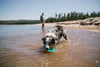 Ruffwear Hydro Plane™ High-Floating Foam Tug & Fetch Toy Fetch Dog Toy (Tangelo Orange)