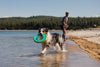 Ruffwear Hydro Plane™ High-Floating Foam Tug & Fetch Toy Fetch Dog Toy (Tangelo Orange)