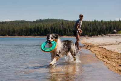 Ruffwear Hydro Plane™ High-Floating Foam Tug & Fetch Toy Fetch Dog Toy (Tangelo Orange)