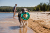 Ruffwear Hydro Plane™ High-Floating Foam Tug & Fetch Toy Fetch Dog Toy (Tangelo Orange)