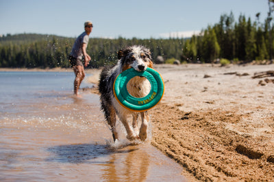 Ruffwear Hydro Plane™ High-Floating Foam Tug & Fetch Toy Fetch Dog Toy (Tangelo Orange)