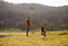 Ruffwear Hydro Plane™ High-Floating Foam Tug & Fetch Toy Fetch Dog Toy (Tangelo Orange)