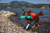 Ruffwear Lunker™ Interactive Floating Throw Dog Toy (Tangelo Orange)