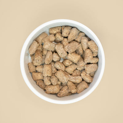 Big Dog Barf Raw Dog Food (Salmon Raw Bites)