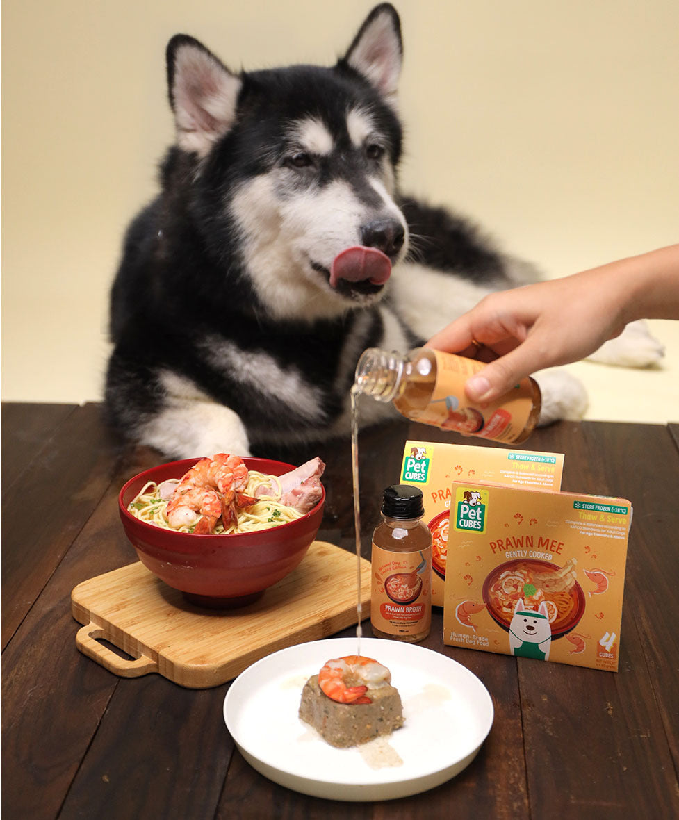 Best dog food for puppy husky best sale