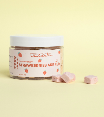 WildChow Freeze Dried Greek Yoghurt Dog Treats (Strawberries Are Red)