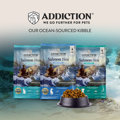 Addiction Dry Dog Food (Salmon Bleu PUPPY)