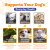 Zesty Paws All-in-One Training Bites Everyday Health Treats for Dogs (Bacon Flavour)