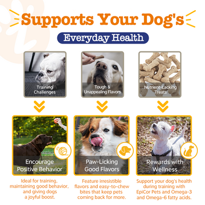 Zesty Paws All-in-One Training Bites Everyday Health Treats for Dogs (Bacon Flavour)