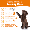 Zesty Paws All-in-One Training Bites Everyday Health Treats for Dogs (Bacon Flavour)