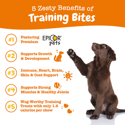 Zesty Paws All-in-One Training Bites Everyday Health Treats for Dogs (Bacon Flavour)