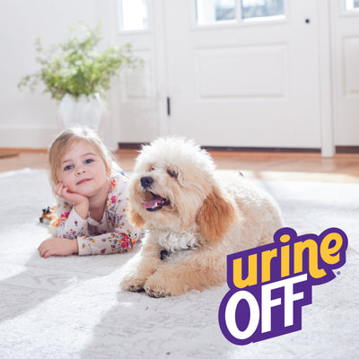 Urine Off Dog & Puppy Hard Surface Sprayer with Carpet Applicator Cap