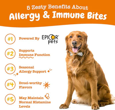 Zesty Paws Allergy & Immune Bites Immune System Supplements for Dogs (Lamb Flavour)