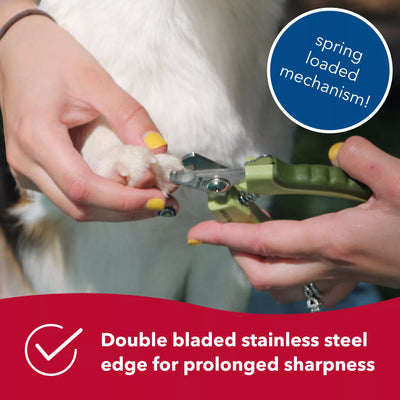 Safari Stainless Steel Professional Nail Trimmer for Small Dogs