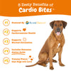 Zesty Paws Cardio Bites Antioxidant Supplements for Dogs (Salmon Flavour)