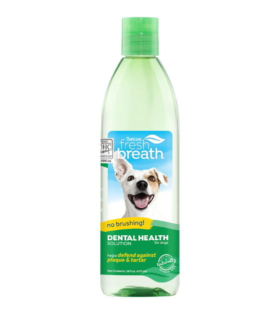 Fresh breath no brushing 2025