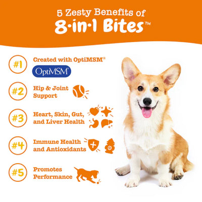 Zesty Paws 8-in-1 Multivitamin Bites Multivitamin Supplements for Dogs (Chicken Flavour)