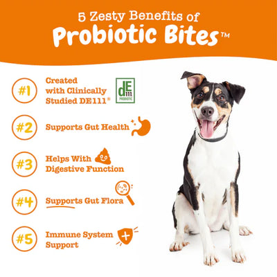 Zesty Paws Probiotic Bites Gut Supplements for Dogs (Pumpkin Flavour)