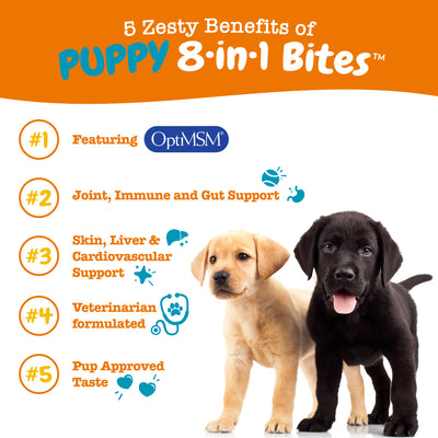 Zesty Paws 8-in-1 Multivitamin Bites Multivitamin Supplements for Puppies (Chicken Flavour)