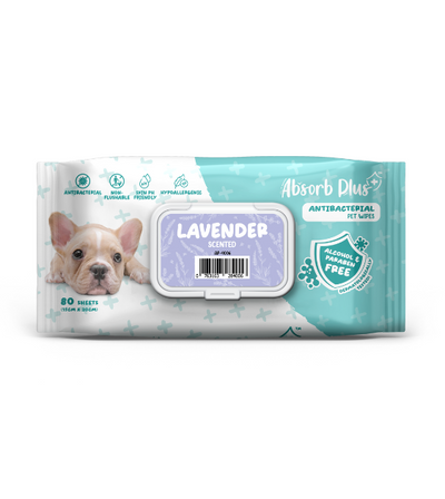 Absorb Plus Antibacterial Wipes For Dogs & Cats 80pc (Lavender)