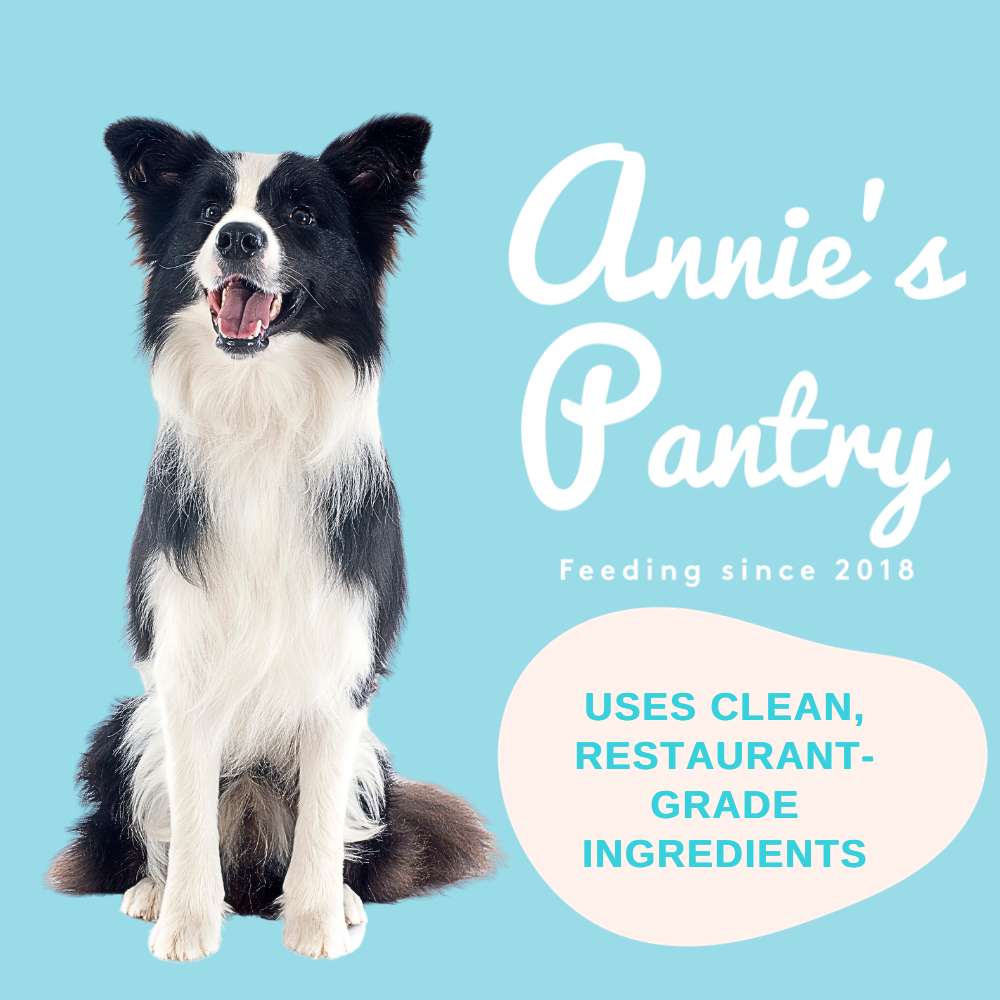 Buy Annie's Pantry Raw Dog Food At Good Dog People | Singapore's Best Online Pet Store