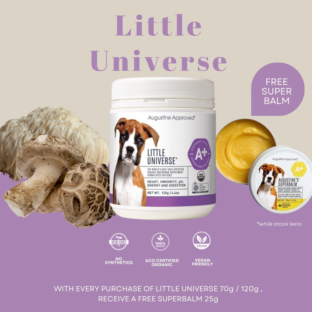 Buy Augustine Approved Little Universe For Dogs (Heart, Immunity & Digestion) At Good Dog People | Singapore's Best Online Pet Shop