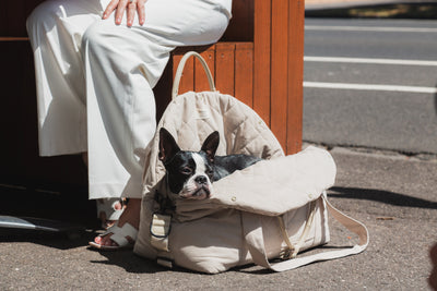 FuzzYard Life Multipurpose Carrier & Car Seat (Sandstone)