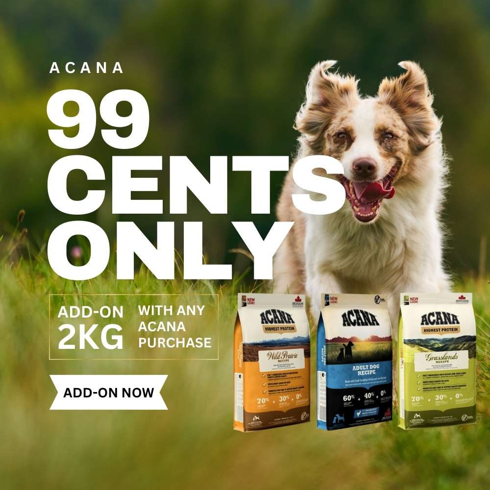 Buy Acana Dog Food At Good Dog People | Singapore's Best Online Pet Store