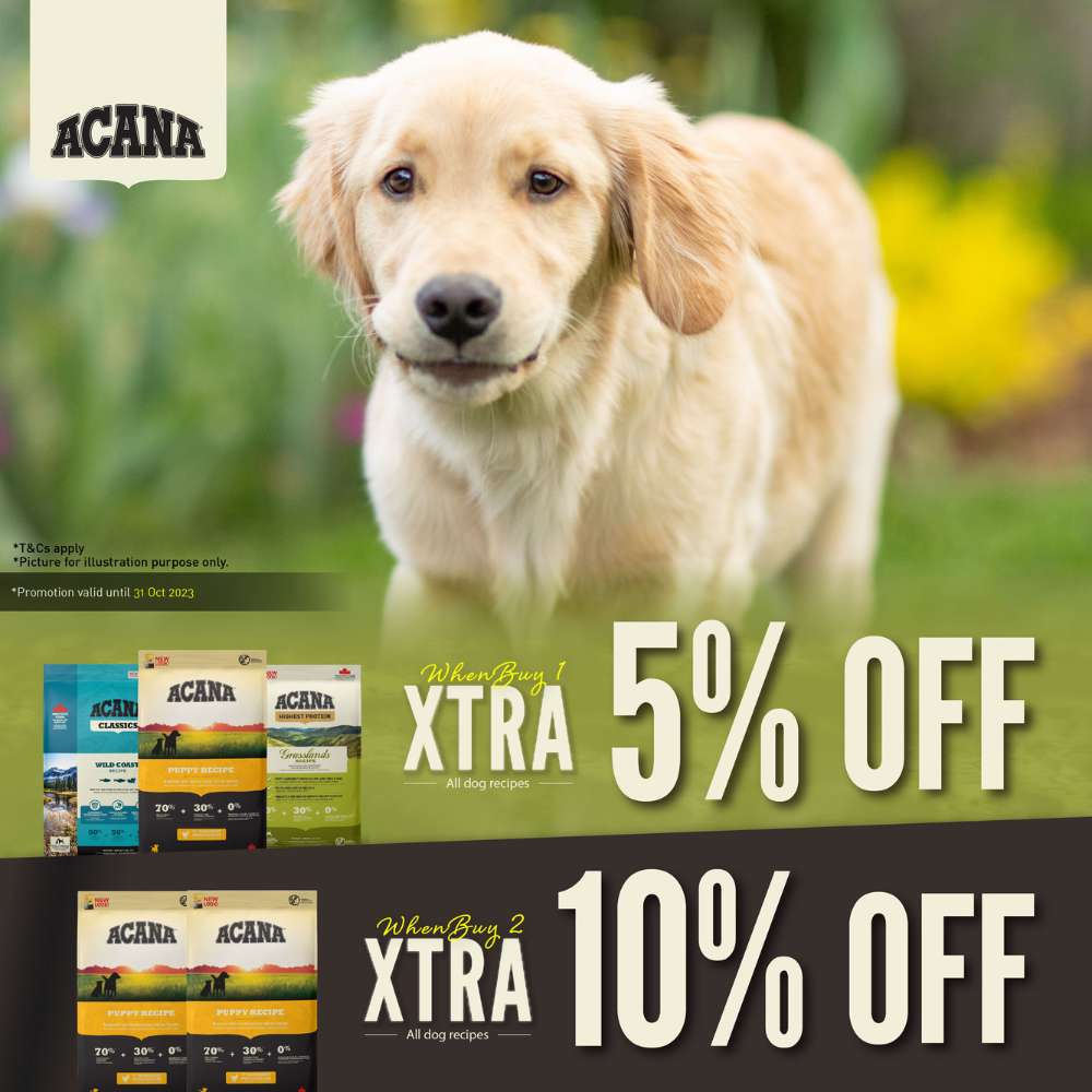 Buy Acana Dog Food At Singapore's Best Online Pet Store | Good Dog People