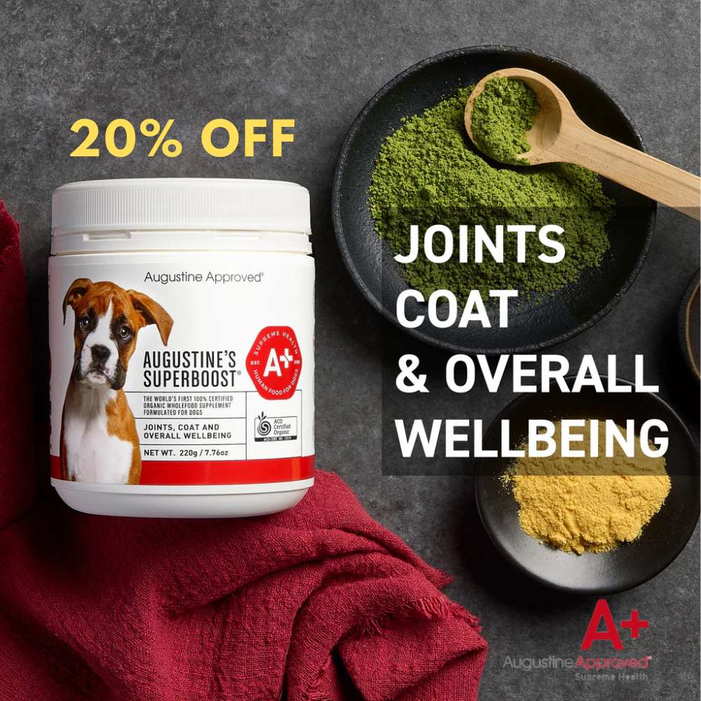 Good dog products cheap