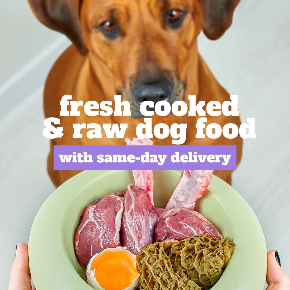 Buy Fresh Cooked & Raw Dog Food At Good Dog People | Singapore's Best Online Pet Store