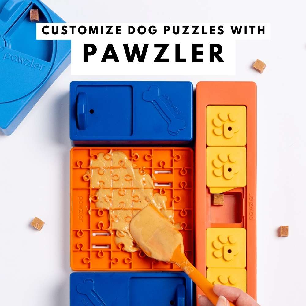 Buy Pawzler Interactive Dog Puzzle At Good Dog People | SIngapore's Best Online Pet Store