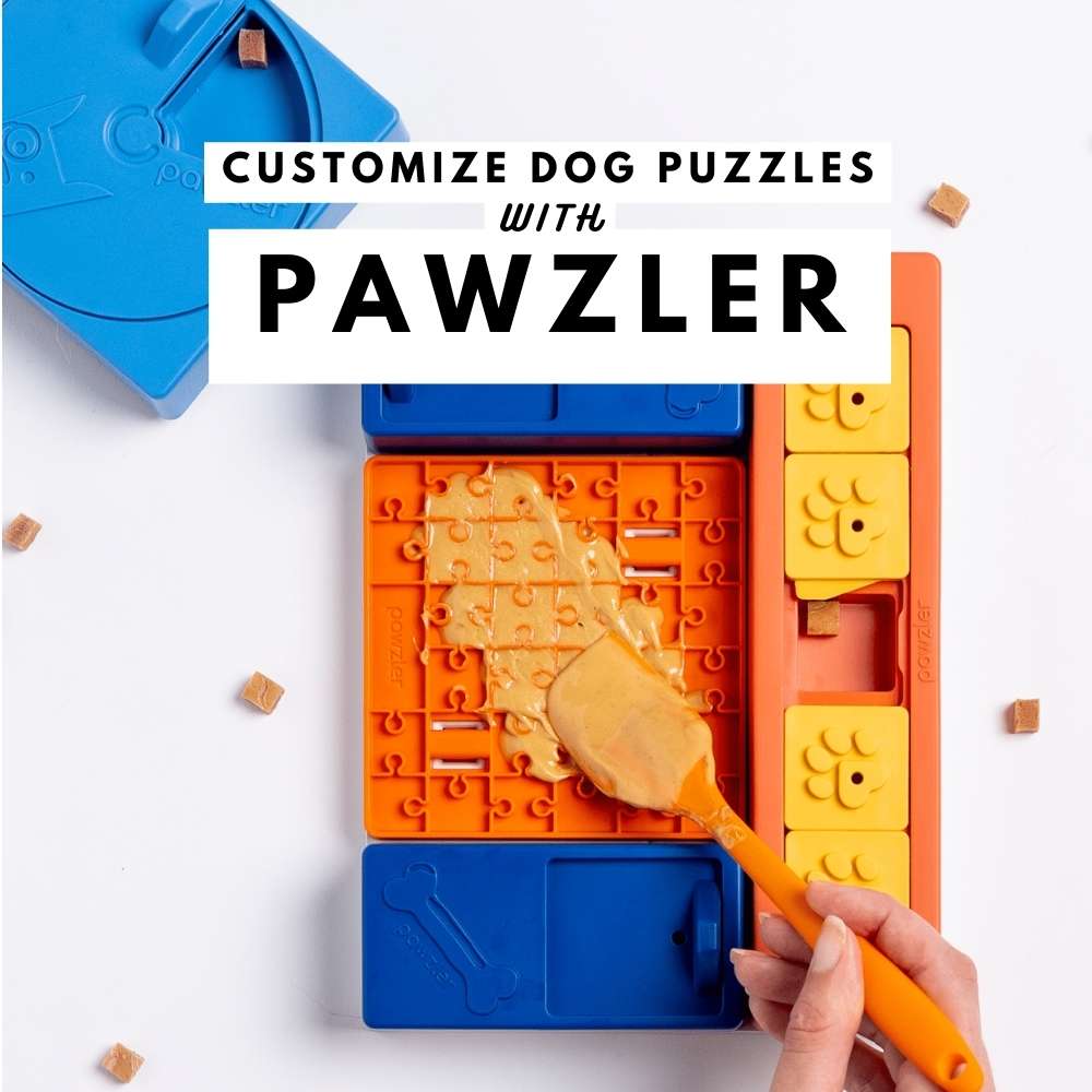 Buy Pawzler Interactive Dog Puzzle At Good Dog People | Singapore's Best Online Pet Store