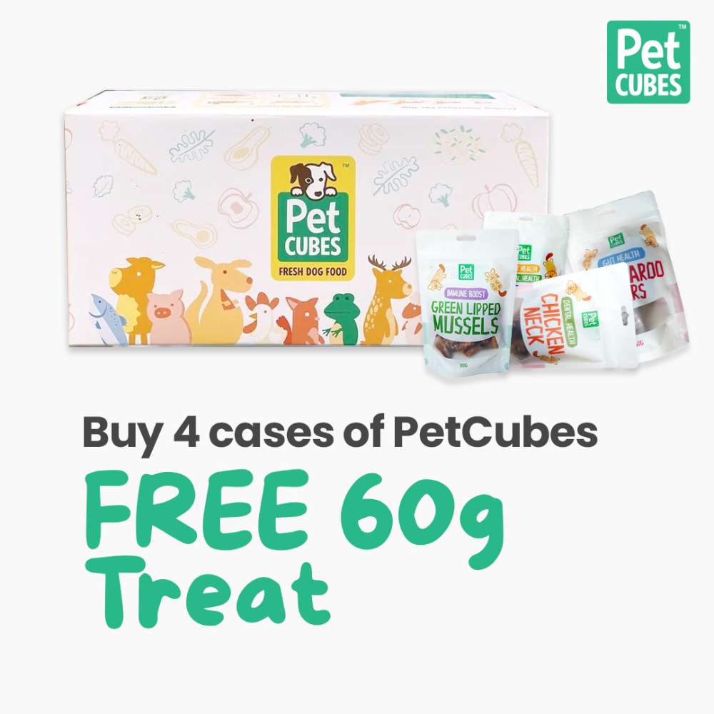 Buy PetCubes Dog Food At Singapore's Best Online Pet Store | Good Dog People