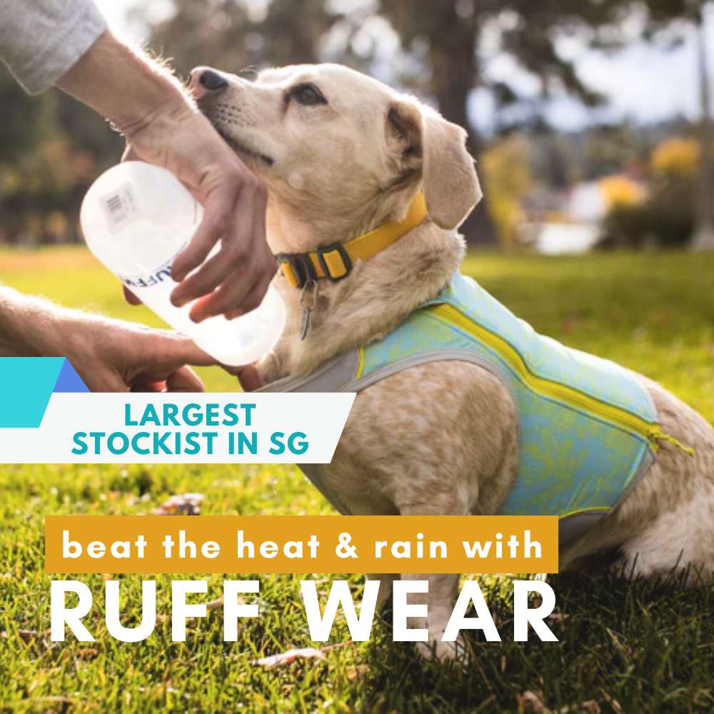 Buy Ruffwear Dog Harness & Outdoor Gear At Singapore's Best Online Pet Store | Good Dog People