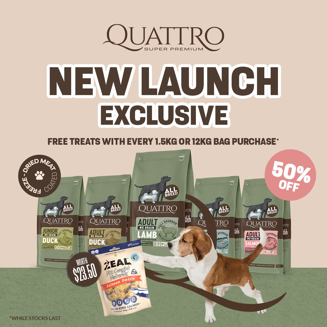 Buy Stella & Chewy Raw Coated Dry Dog Food At Good Dog People | Singapore's Best Online Pet Store