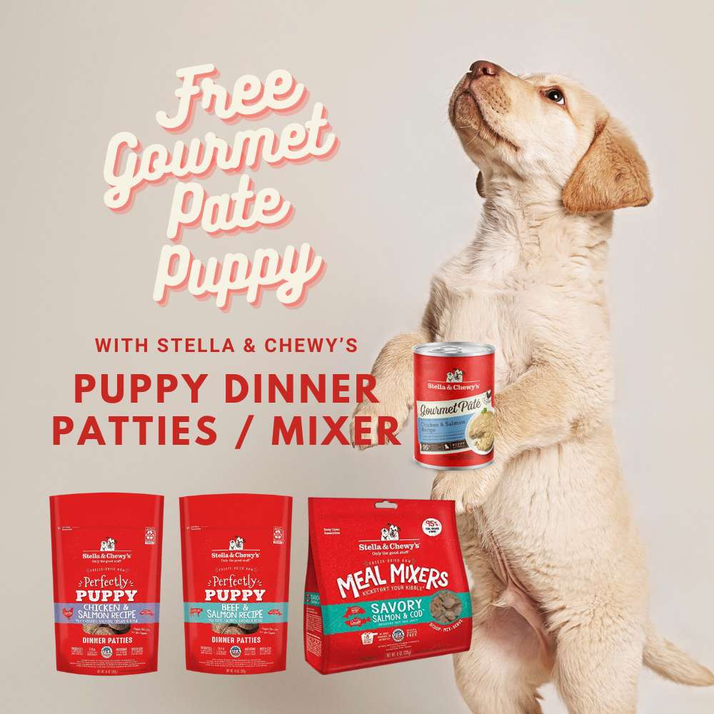 Buy Stella & Chewy's Dog Food At Good Dog People | Singapore's Best Online Pet Store