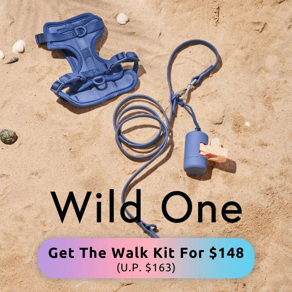 Buy Wild One At Good Dog People | Singapore's Best Online Pet Store