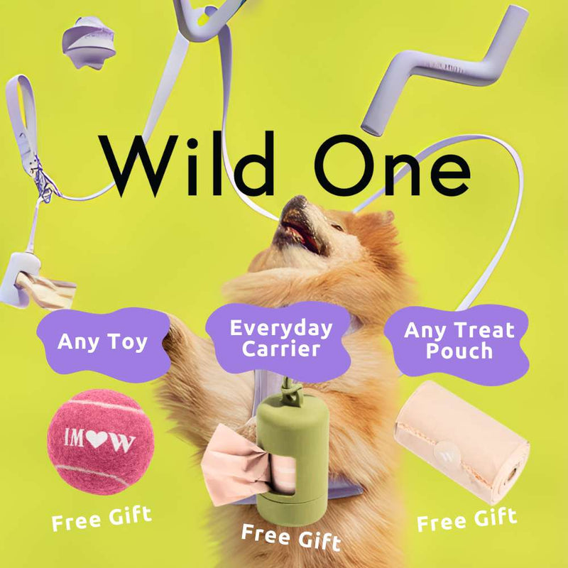 Singapore's Best Online Pet Shop Dog Store Online Good Dog People