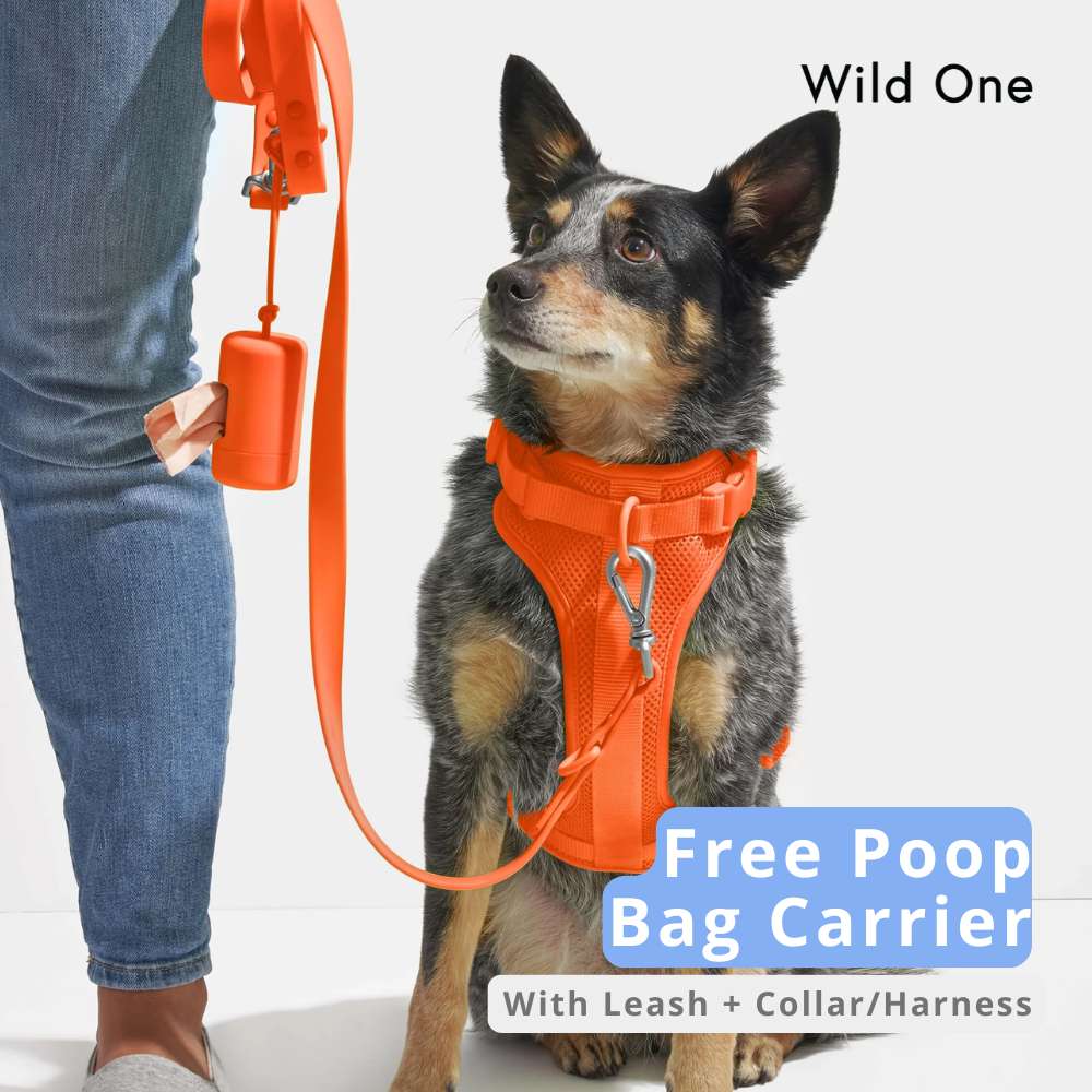 Best online pet shop hotsell